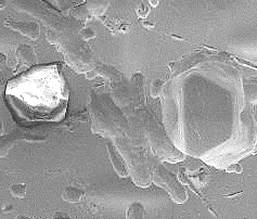 CMP: microscopic surface and structure image.