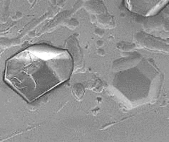 CMP: microscopic surface and structure image.