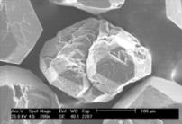 Conventional diamond: cracked grain.