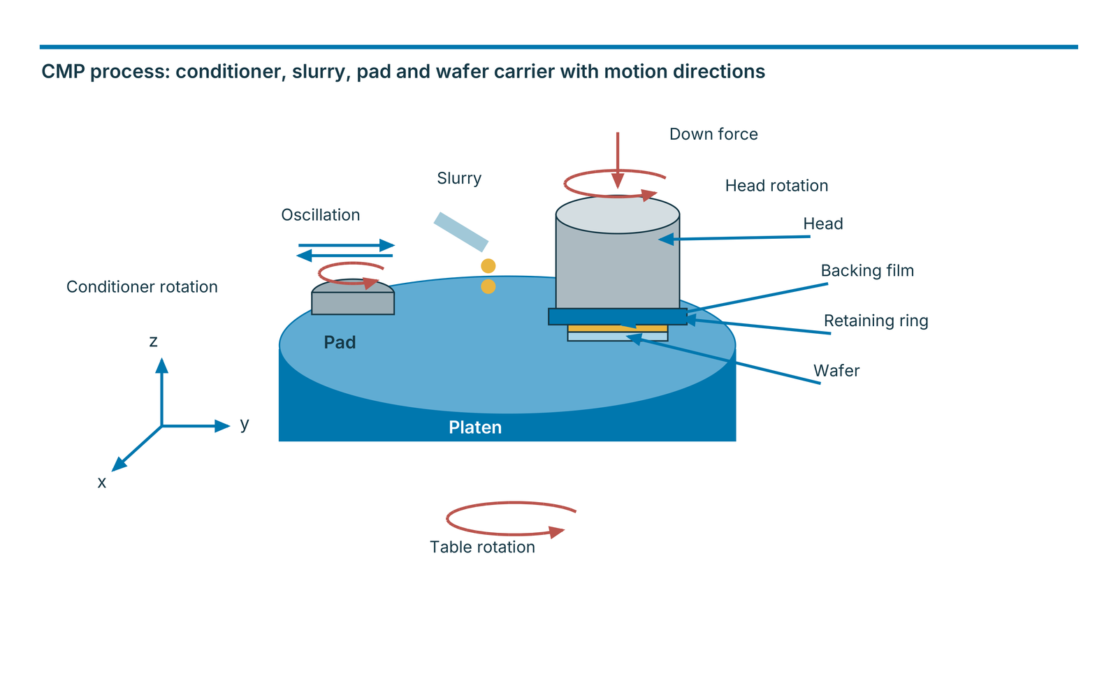 CMP process: conditioner, slurry, pad and wafer carrier with motion directions