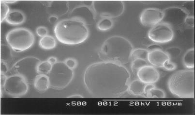 Polishing pad: porous surface.