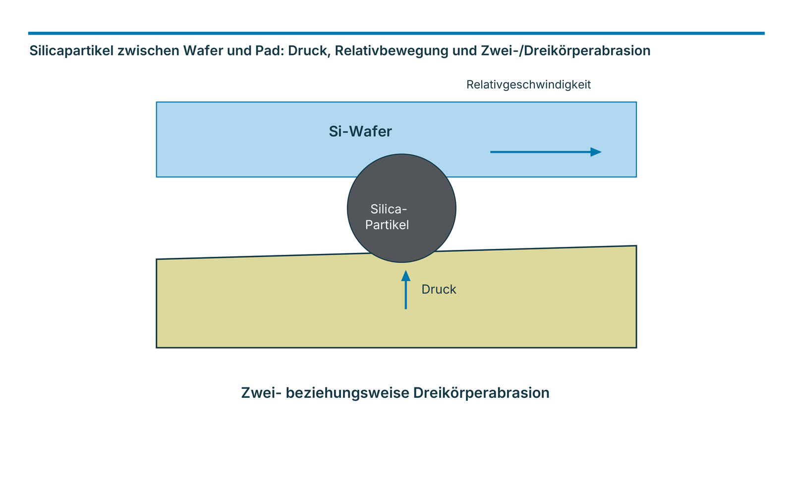 Silicapartikel zwischen Wafer und Pad: Druck, Relativbewegung und Zwei-/Dreikörperabrasion