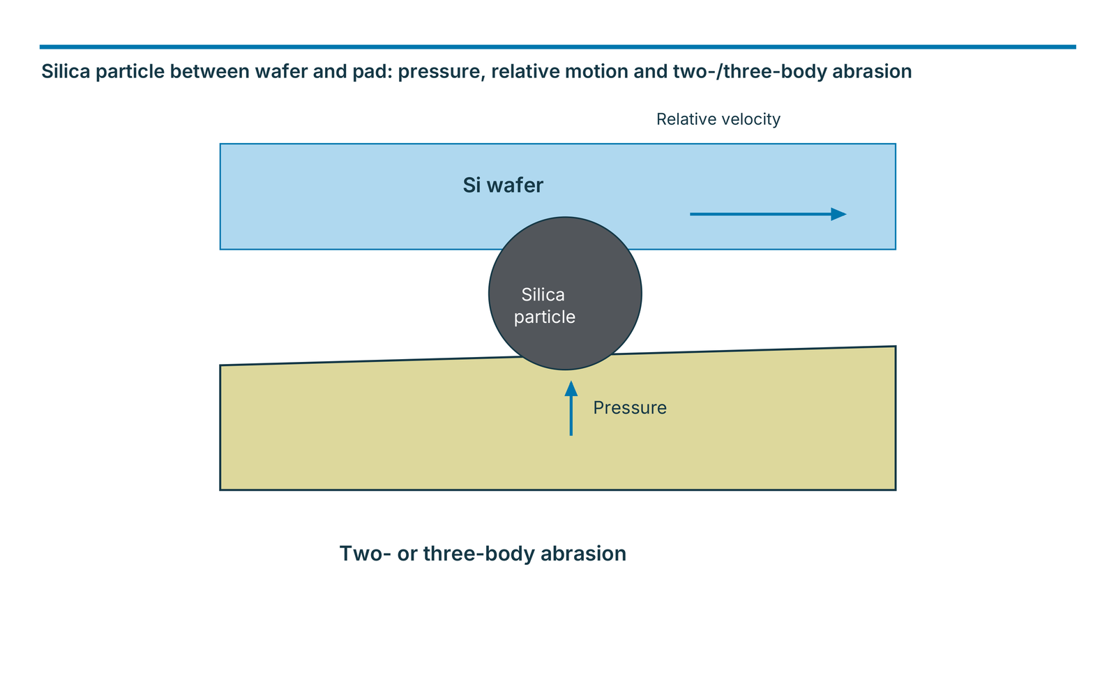 Silica particle between wafer and pad: pressure, relative motion and two-/three-body abrasion
