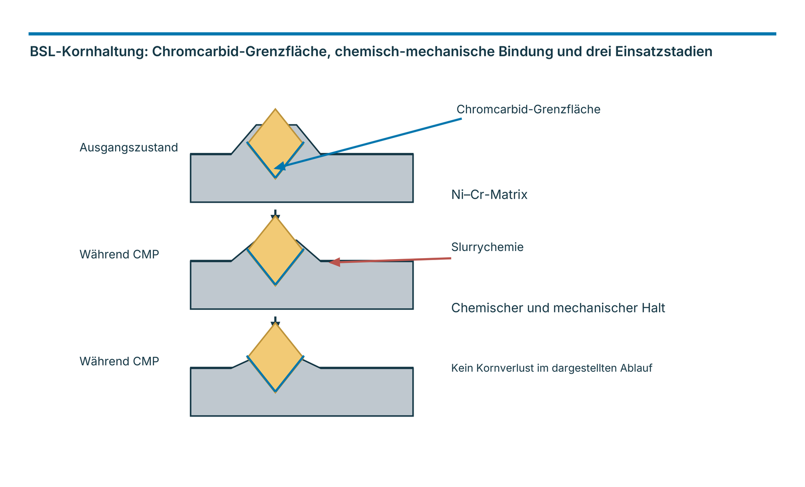 BSL-Kornhaltung: Chromcarbid-Grenzfläche, chemisch-mechanische Bindung und drei Einsatzstadien
