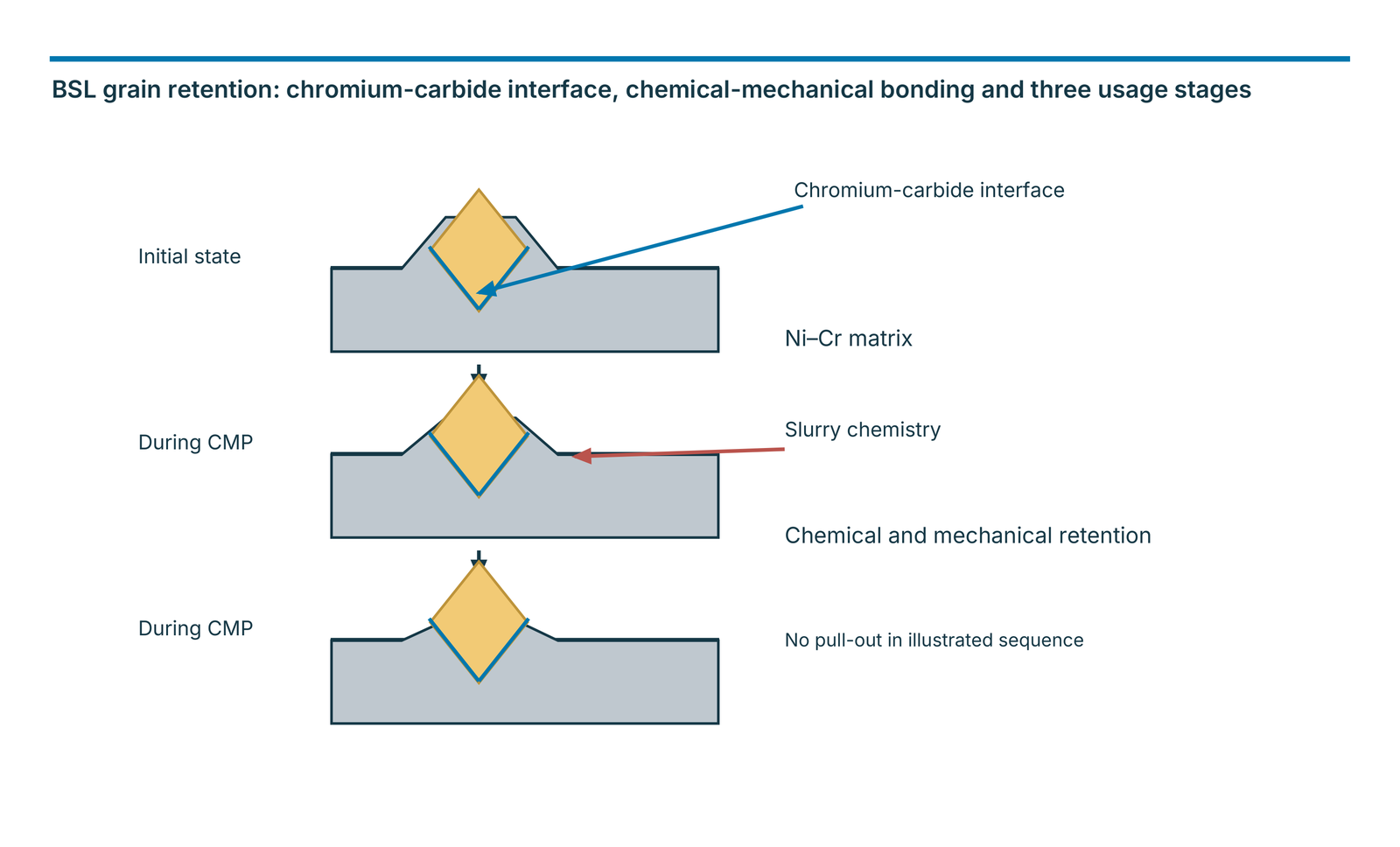 BSL grain retention: chromium-carbide interface, chemical-mechanical bonding and three usage stages