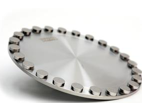 Conditioning disc with pellets: small oblique view.