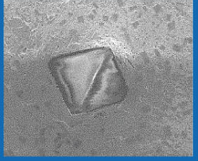 BSL conditioner after 60 h: second surface image.