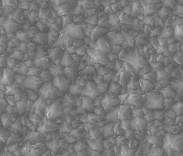 CVD surface before immersion.