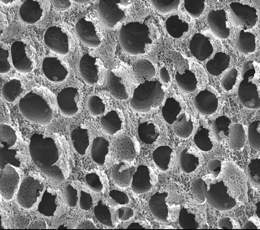 Pad after CVD, 6 cycles, 200×.
