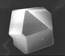 Electroplated conditioner: diamond and bond image.