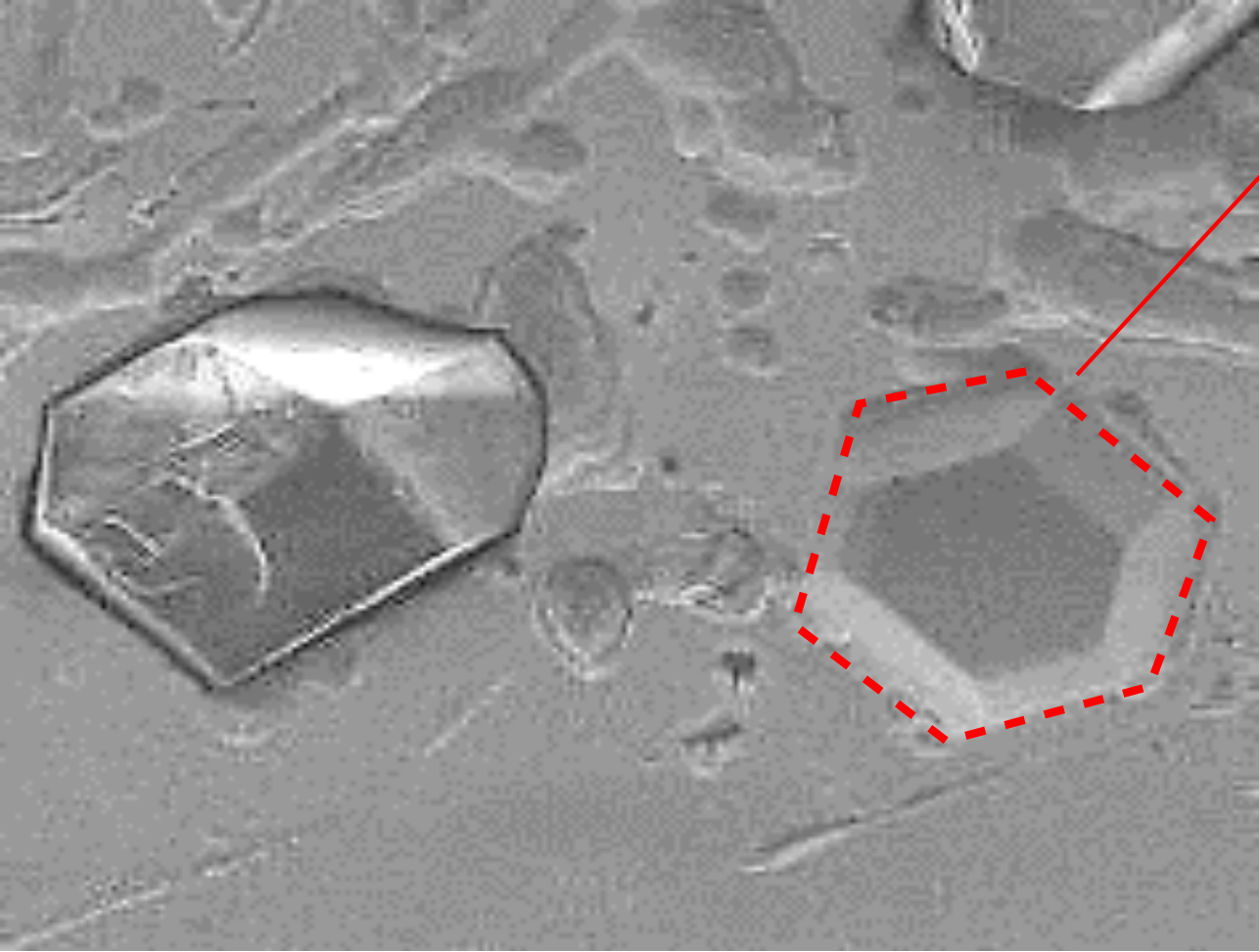 Electroplated conditioner after 20 h of use: microscopic image.