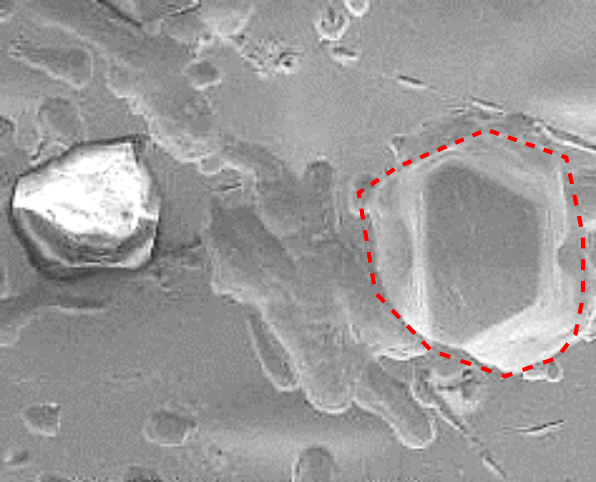 Electroplated conditioner after 20 h of use: microscopic image.