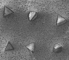 BSL conditioner after 60 h of use: microscopic image.