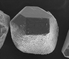 BSL conditioner: diamond and bond image.