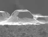 BSL conditioner: diamond and bond image.
