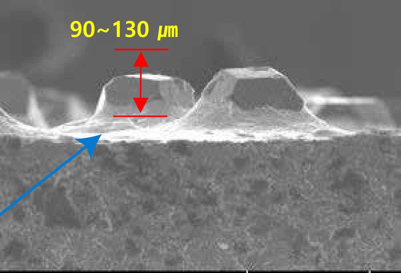 BSL: illustrated diamond protrusion 90–130 µm.