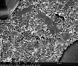 Electroformed microblade, right microstructure group, SEM ×2000.