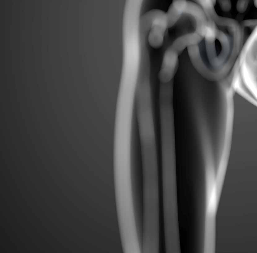 Hüft- und Beinbereich: anatomische Anwendungsillustration.