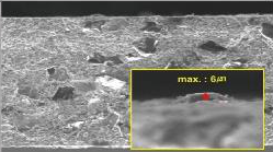 Side-enhanced blade: SEM image with local detail maximum 6 µm.
