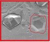 Electroplated disk after 20 h: second image with marked diamond loss.