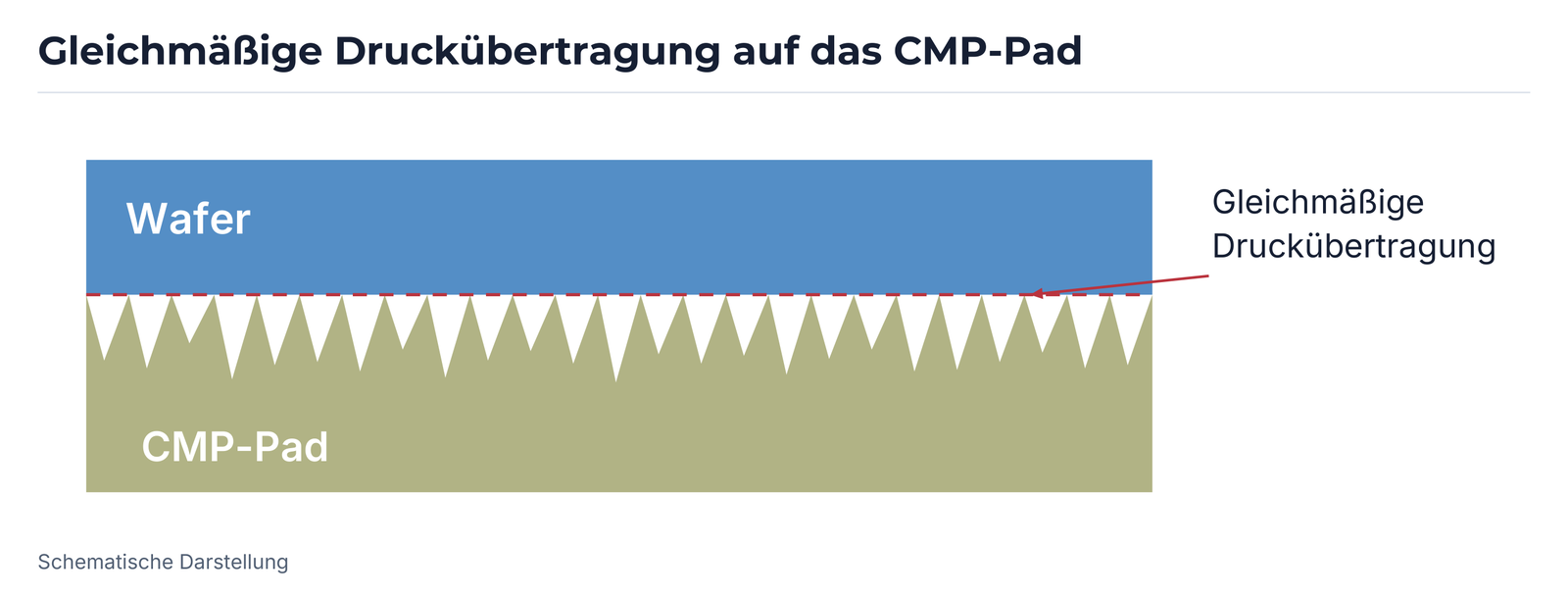 Schema einer gleichmäßigen Druckübertragung zwischen Wafer und strukturiertem CMP-Pad.