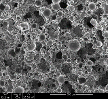 Gefüge der Z1-Ausführung NP-D4-303D3.0W10X-800-VSZT, SEM ×100; Originalmaßstab erhalten.