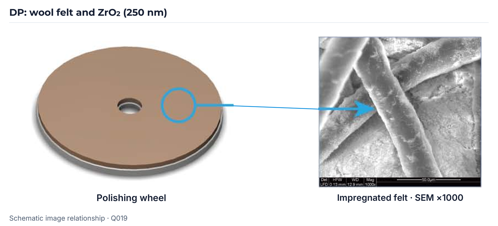 DP wheel and impregnated wool felt; SEM photograph with original 50 µm scale, Q019 version.